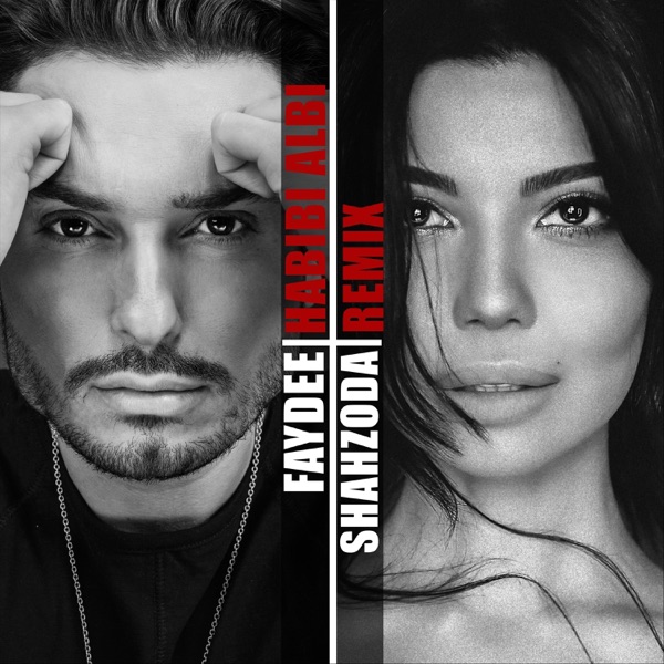 Habibi Albi (Remix) - Single album cover