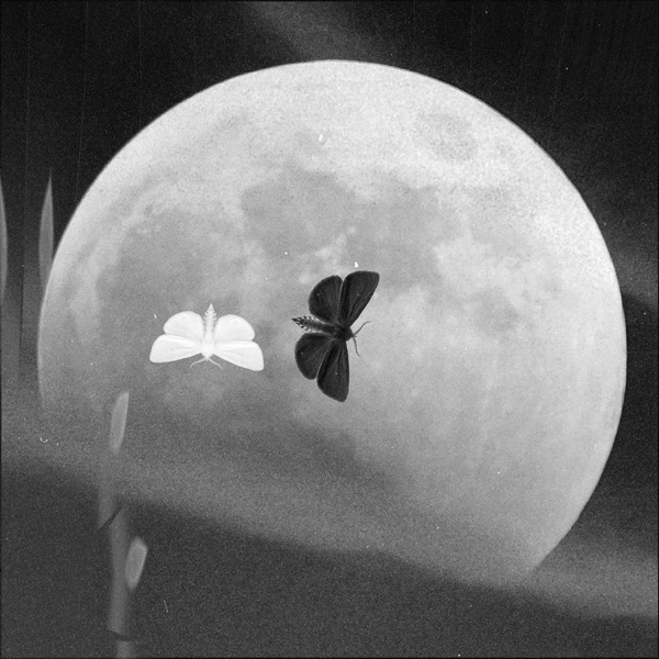 Illusion of Choice - Single album cover