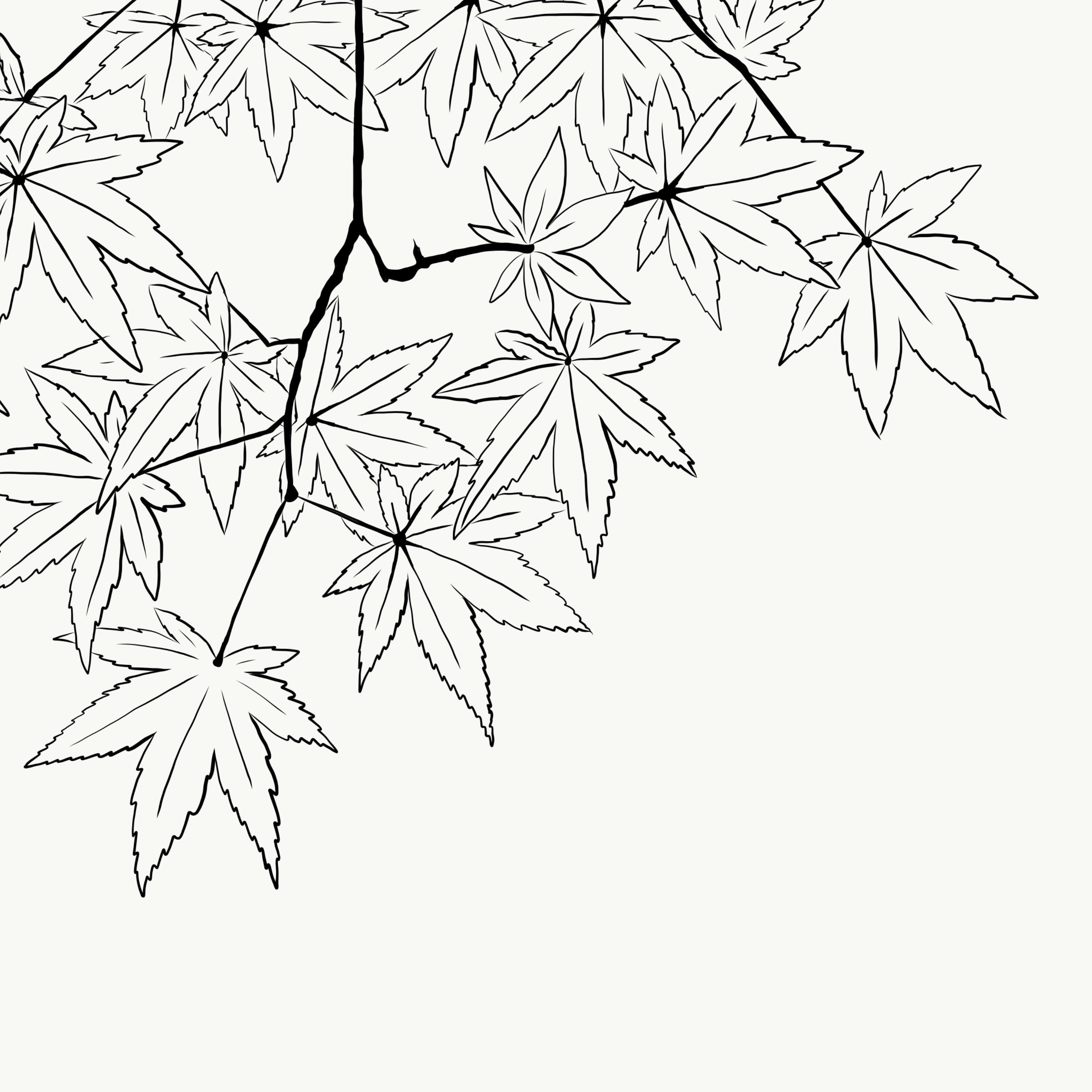 Listening to the Leaves Fall - Single album cover