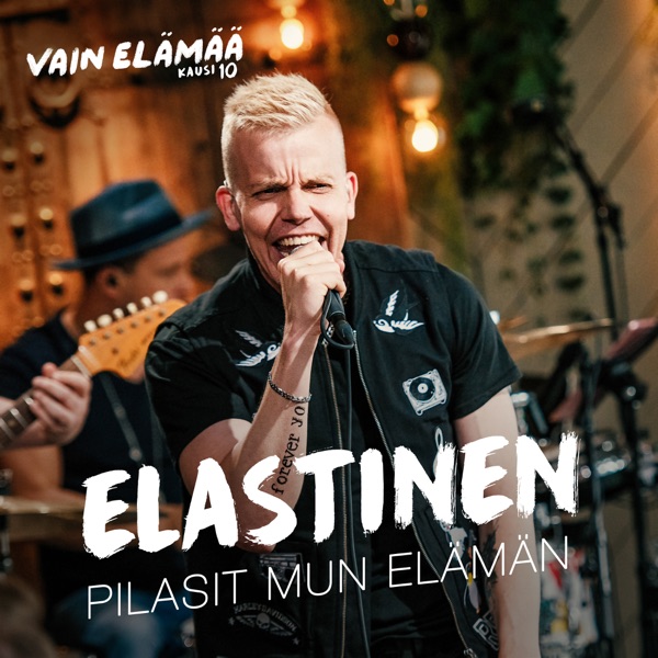 Pilasit mun elämän (Vain elämää kausi 10) - Single album cover
