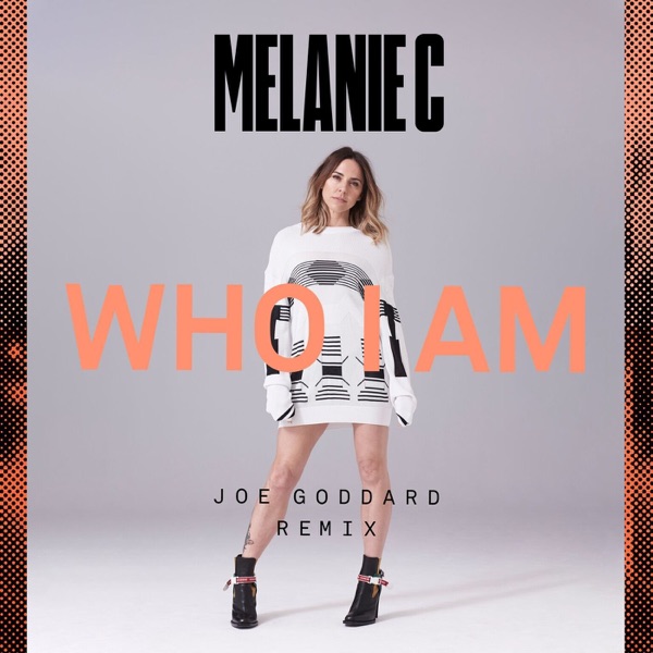 Who I Am (Joe Goddard Remix) - Single album cover