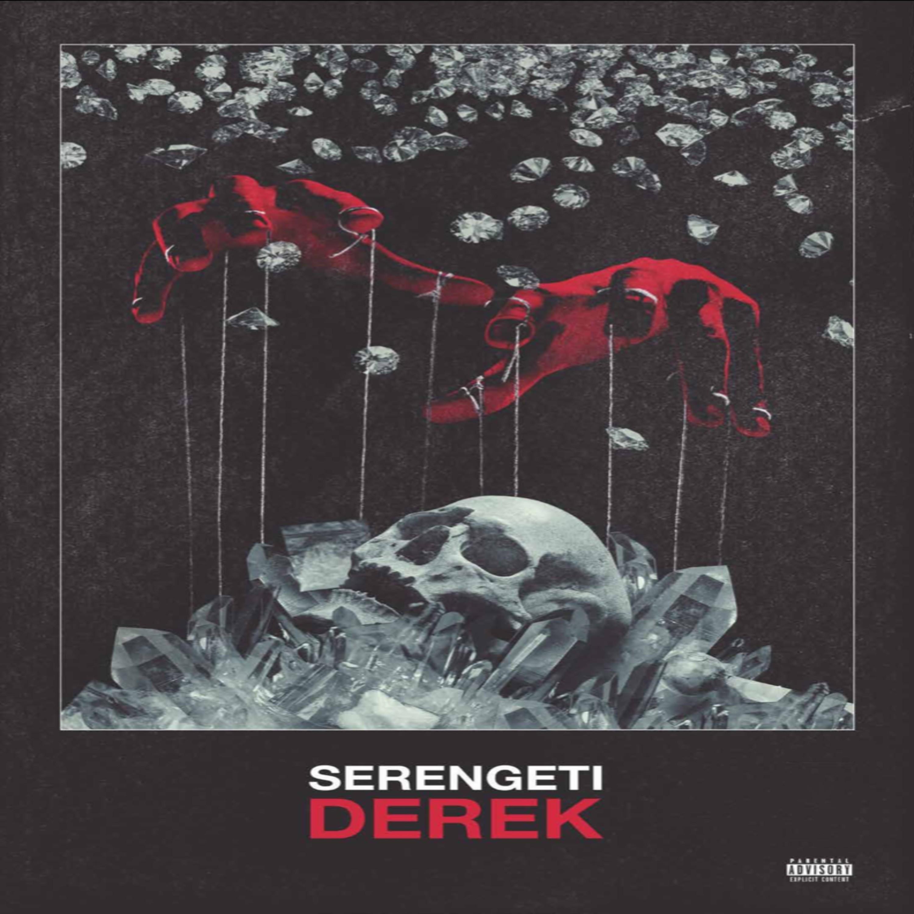 Derek album cover