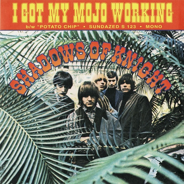 I Got My Mojo Working - Single album cover