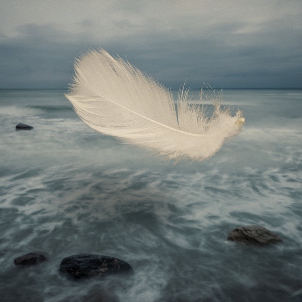 Ivin (feat. Danish String Quartet & Teitur) - Single album cover