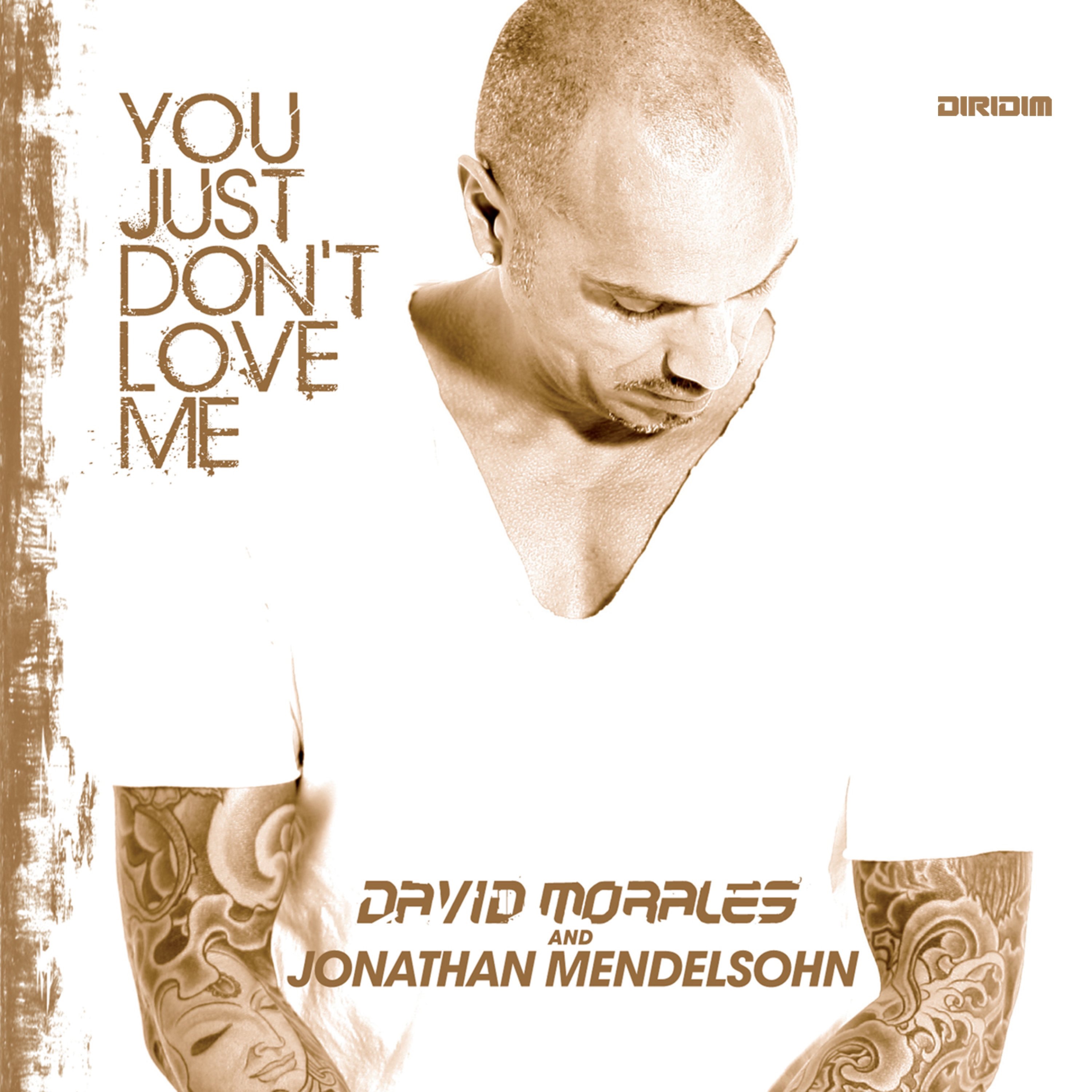 You Just Don't Love Me album cover