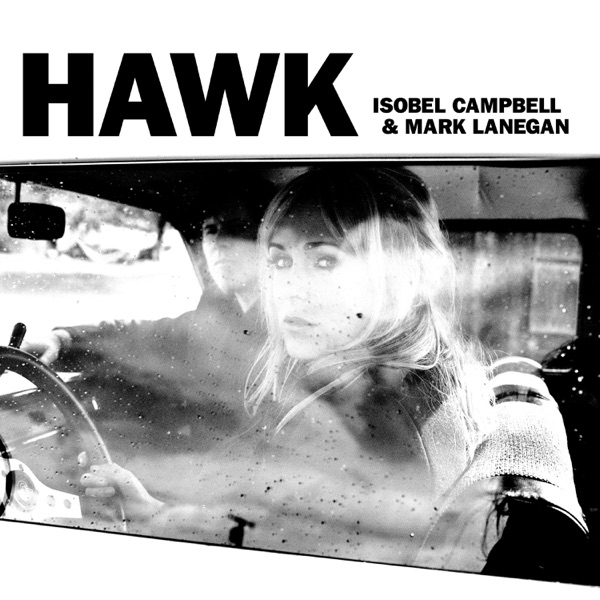 Hawk album cover