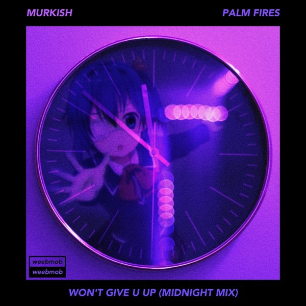 Won't Give U Up (feat. Palm Fires) [midnight mix] - Single album cover