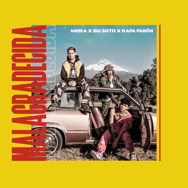 Malagradecida - Single album cover