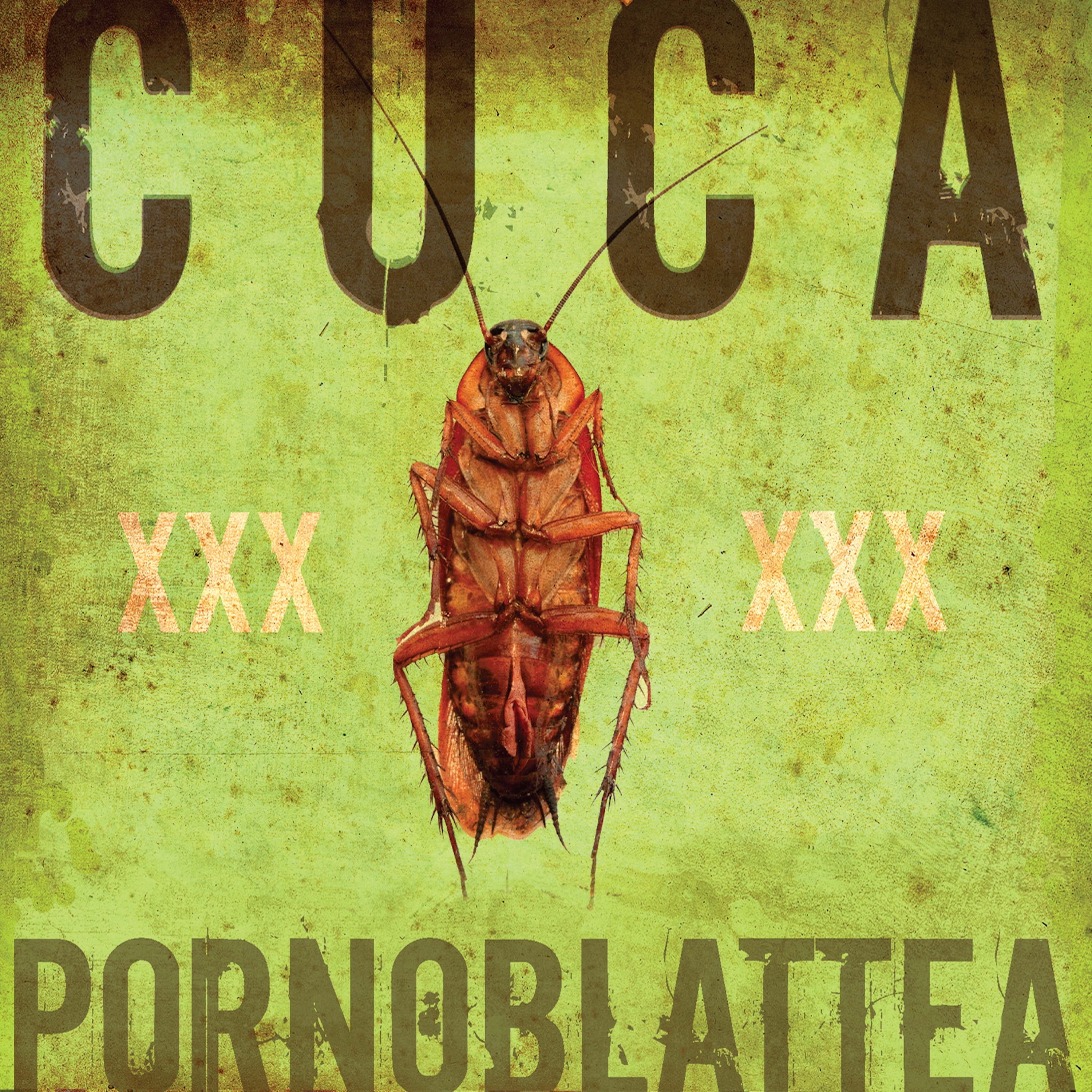 Pornoblattea album cover