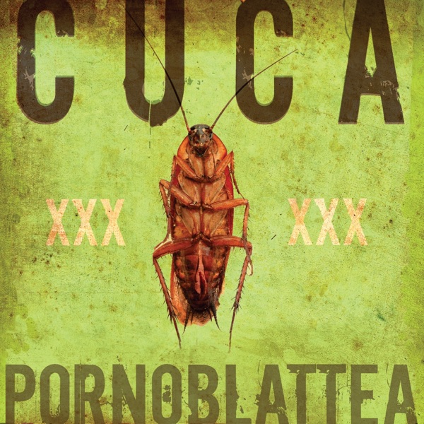 Pornoblattea album cover