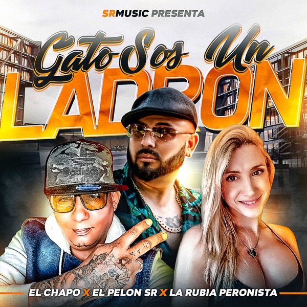 Gato Sos un Ladrón - Single album cover