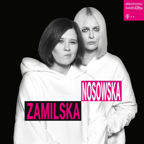 Jeśli wiesz co chce powiedzieć (Remix) - Single album cover