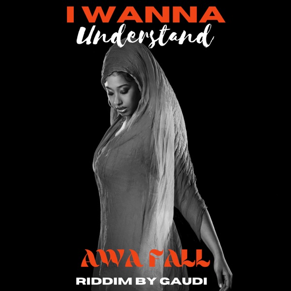 I Wanna Understand (Gaudi Dub Version) - Single album cover
