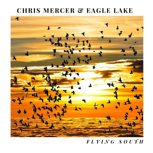 Flying South - Single album cover