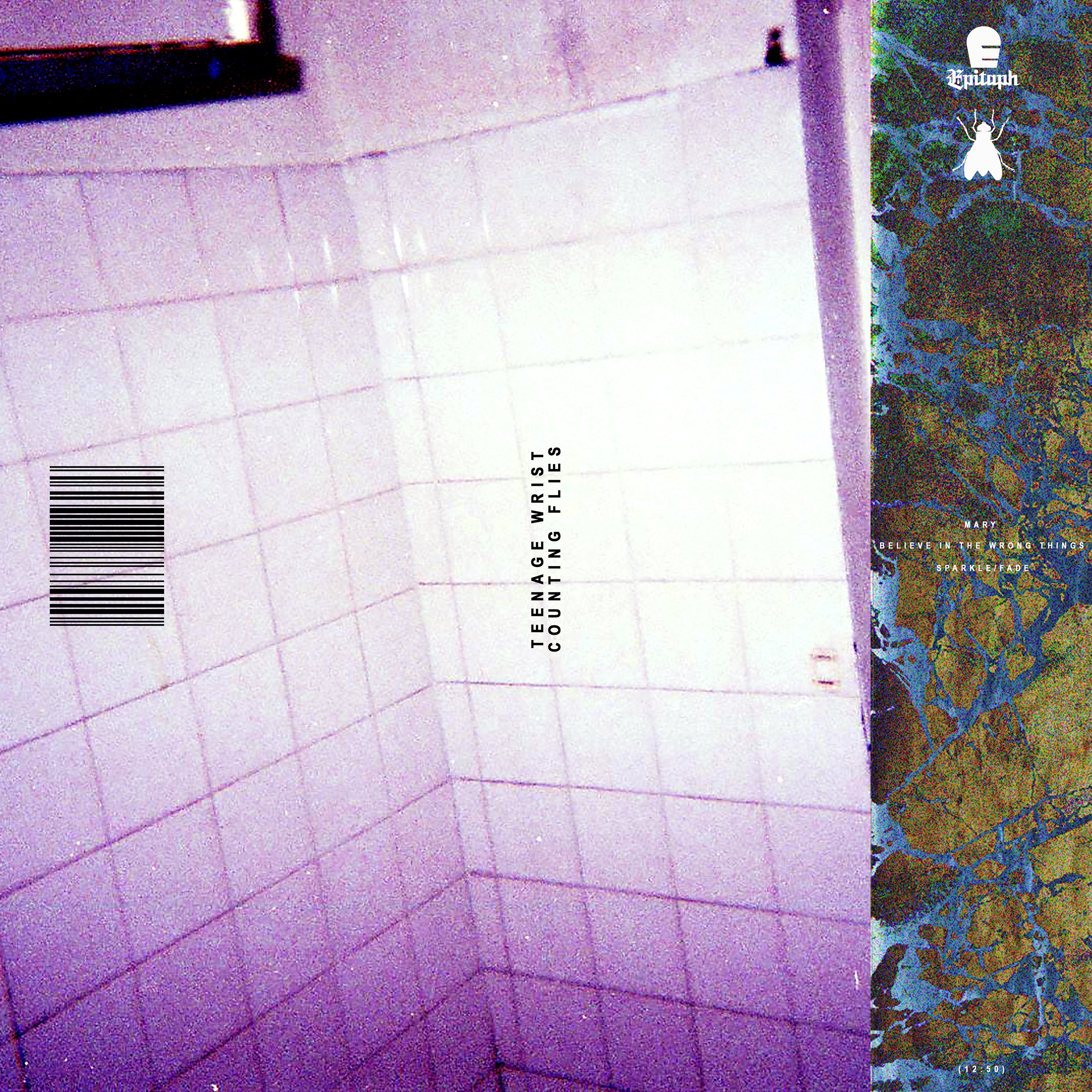 Counting Flies - Single album cover