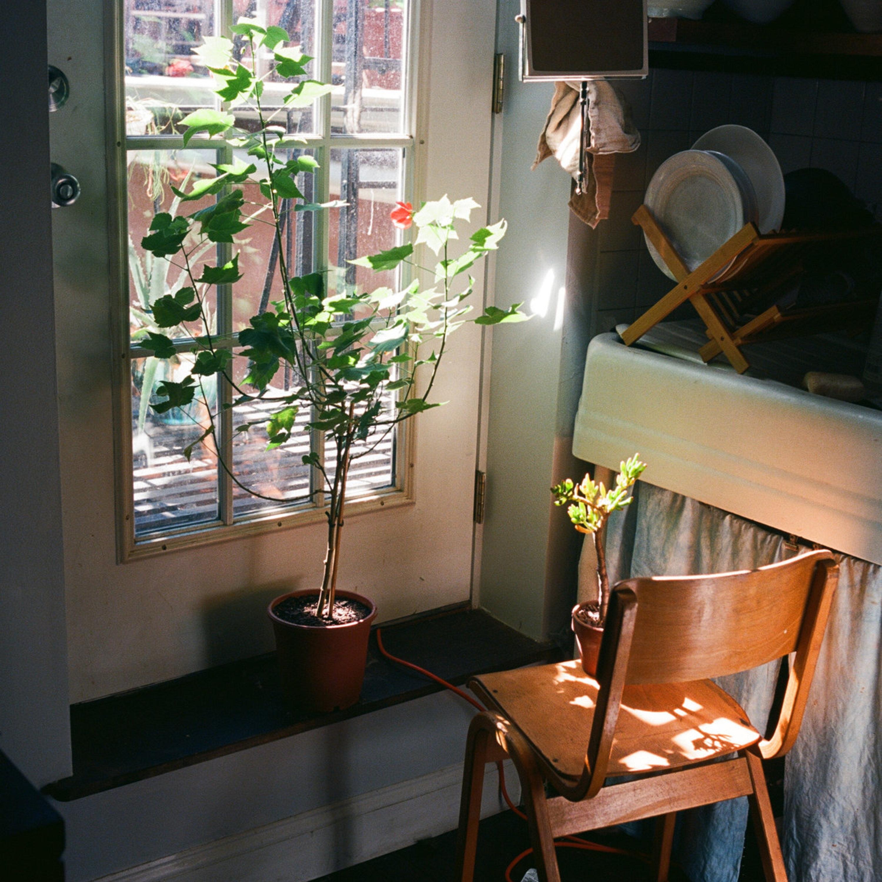 The Torment of Love - EP album cover