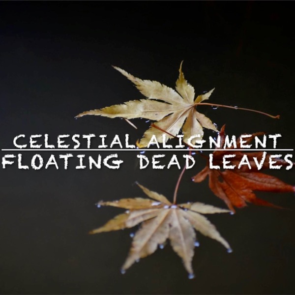 Floating Dead Leaves (From "Naruto Shippuden") [Lofi Beat] - Single album cover