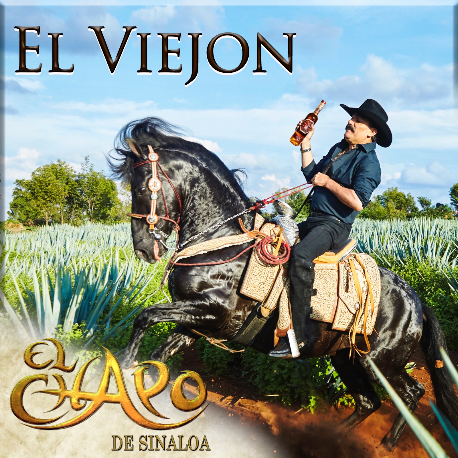 El Viejón - Single album cover