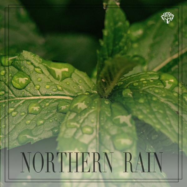 Northern Rain album cover