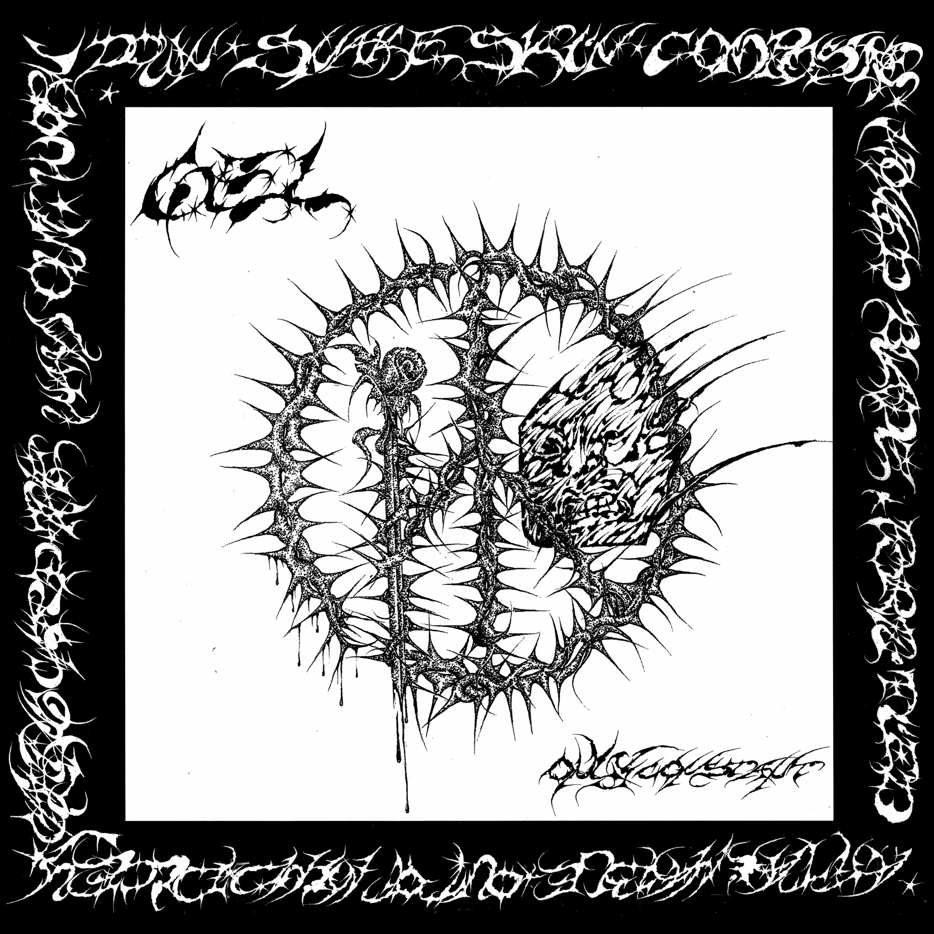 Dicey - Single album cover