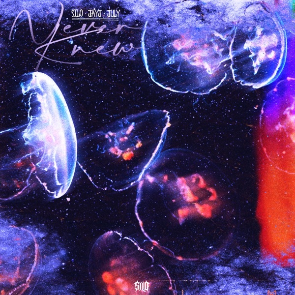 Never Knew (feat. Jayj & July) - Single album cover