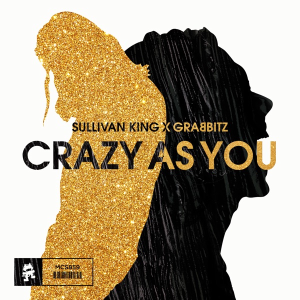 Crazy as You - Single album cover