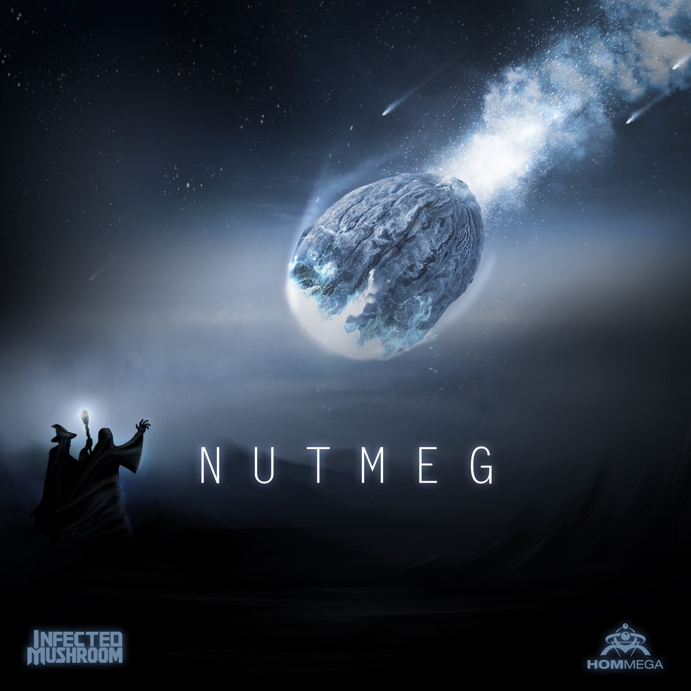 Nutmeg - Single album cover
