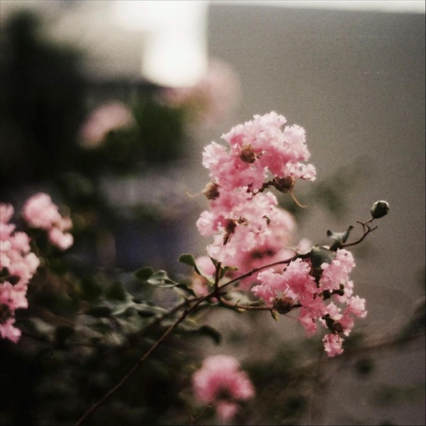 You Forgot to Say Goodbye - Single album cover