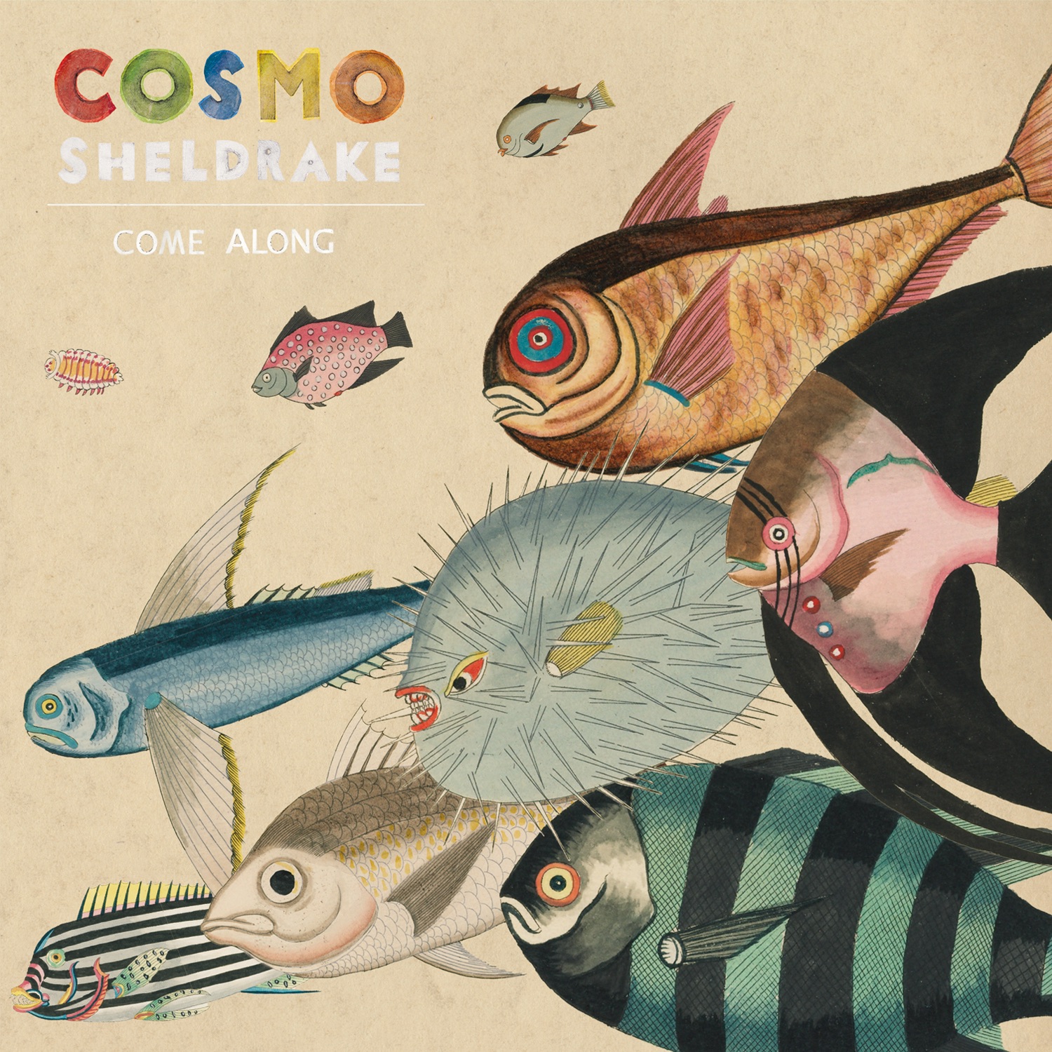 Come Along (Edit) - Single album cover