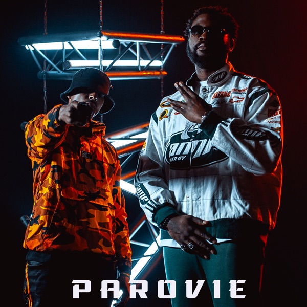 ParoVie (feat. Damso) - Single album cover