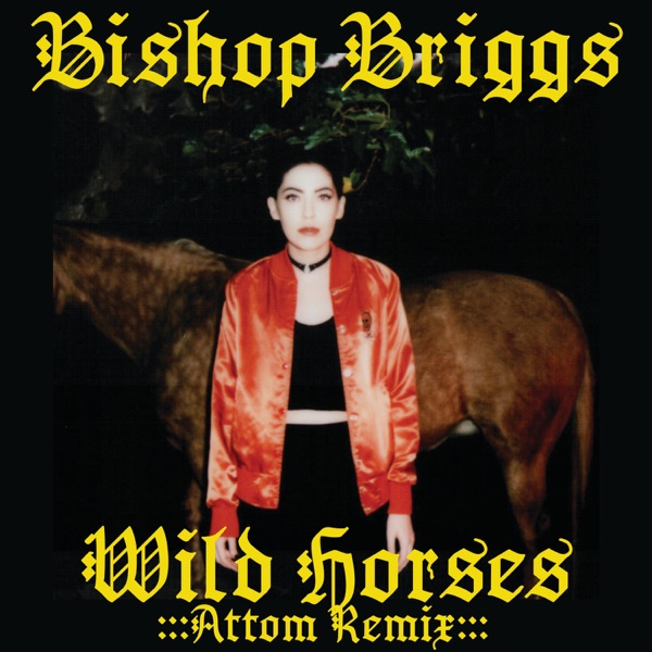Wild Horses (Attom Remix) - Single album cover