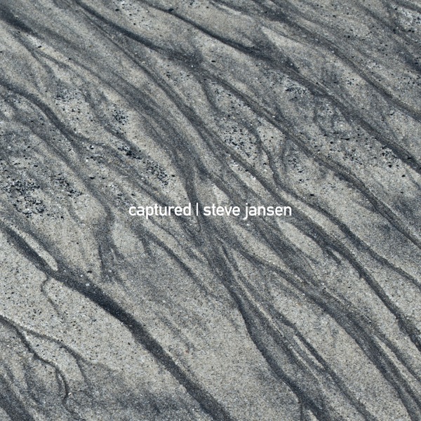Captured (feat. Thomas Feiner) - Single album cover