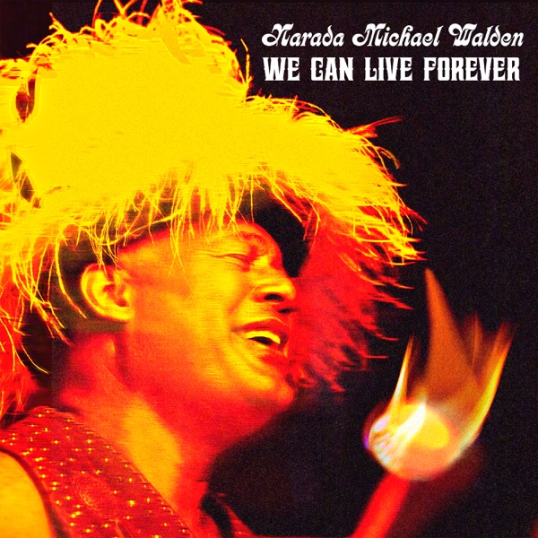 We Can Live Forever - Single album cover