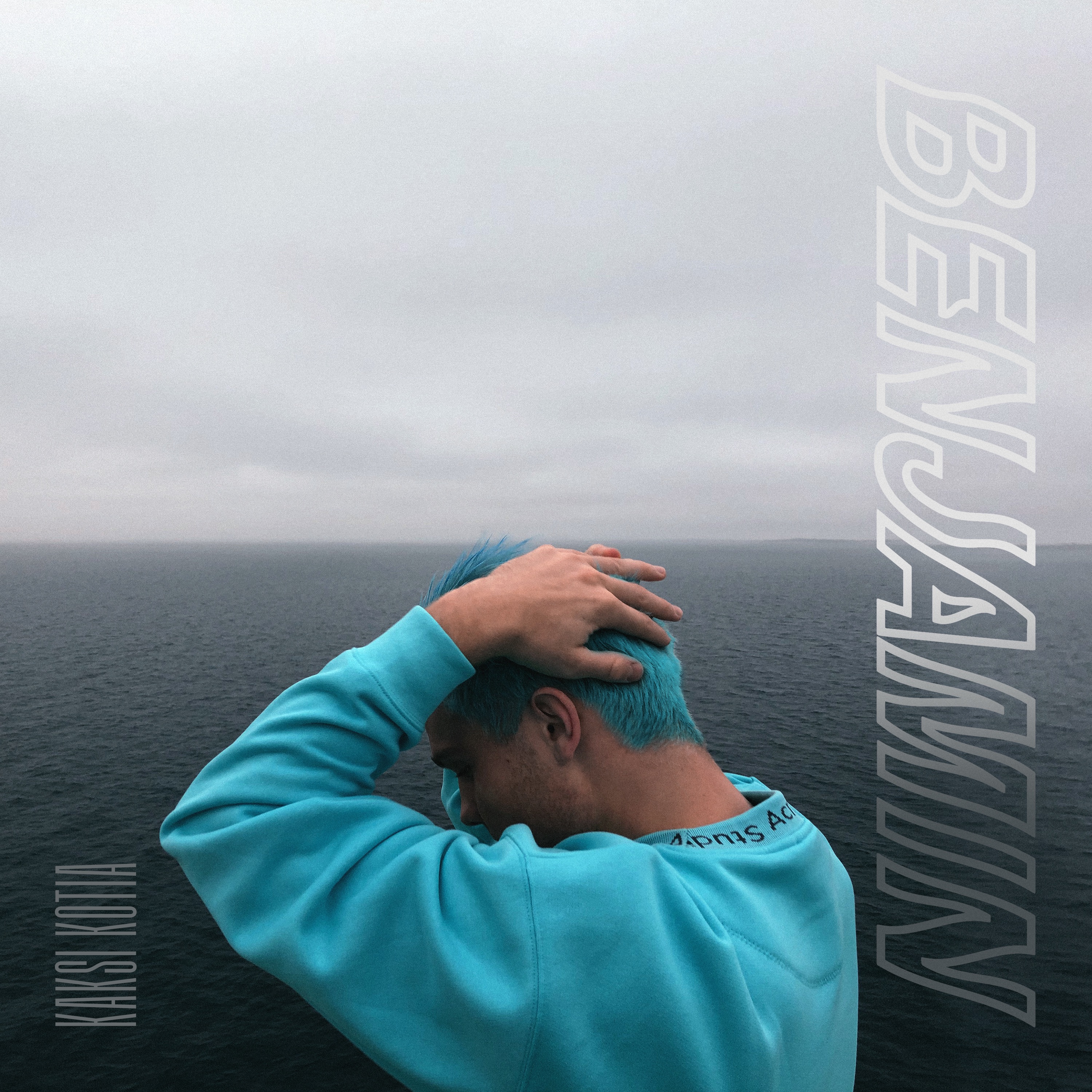 Kaksi kotia - Single album cover