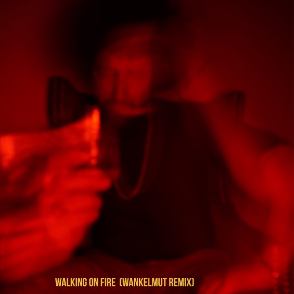 Walking on Fire (Wankelmut Remix) - Single album cover