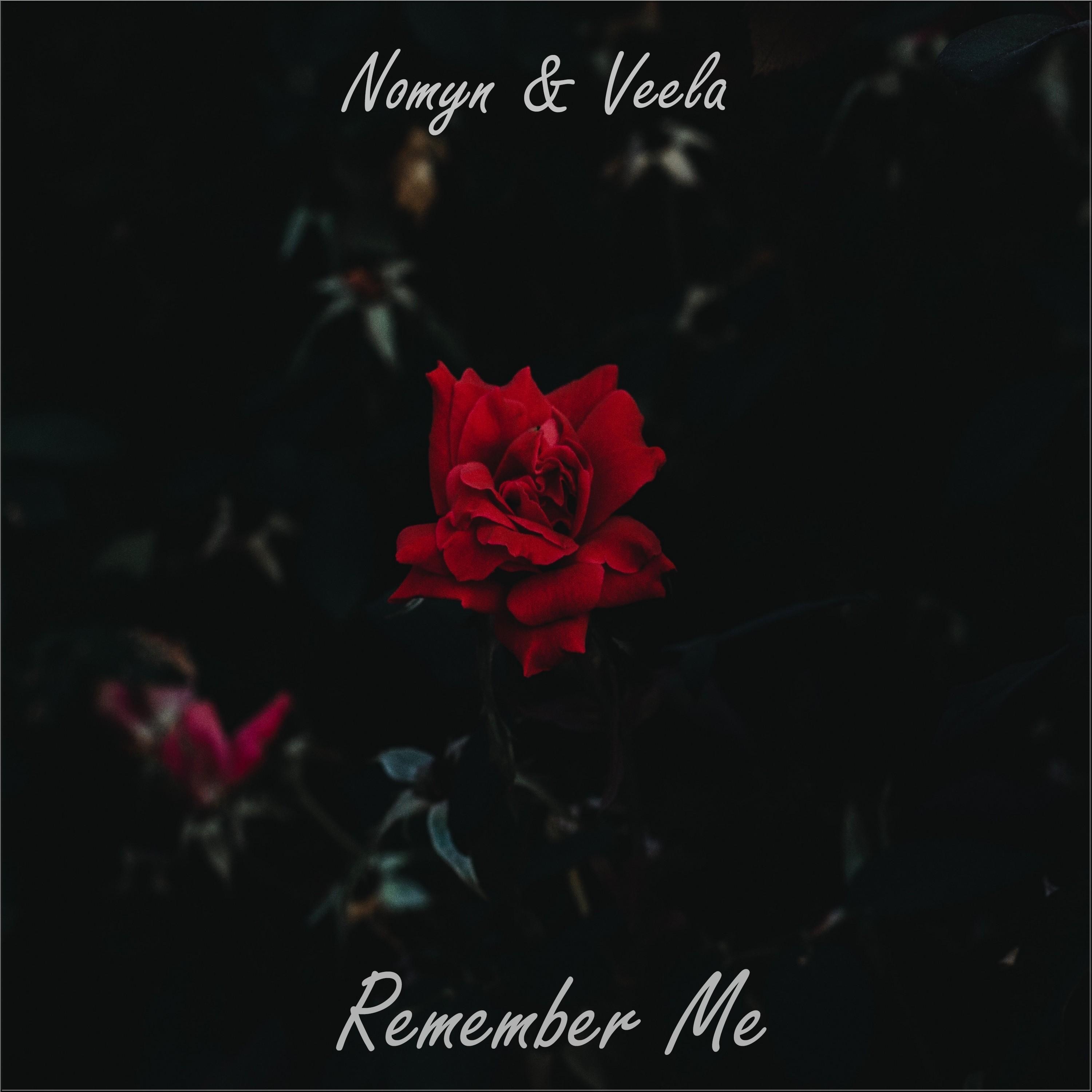 Remember Me (feat. Veela) - Single album cover