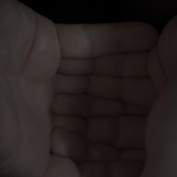 Arctic - Single album cover