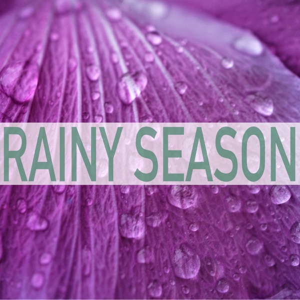 Rainy Season album cover