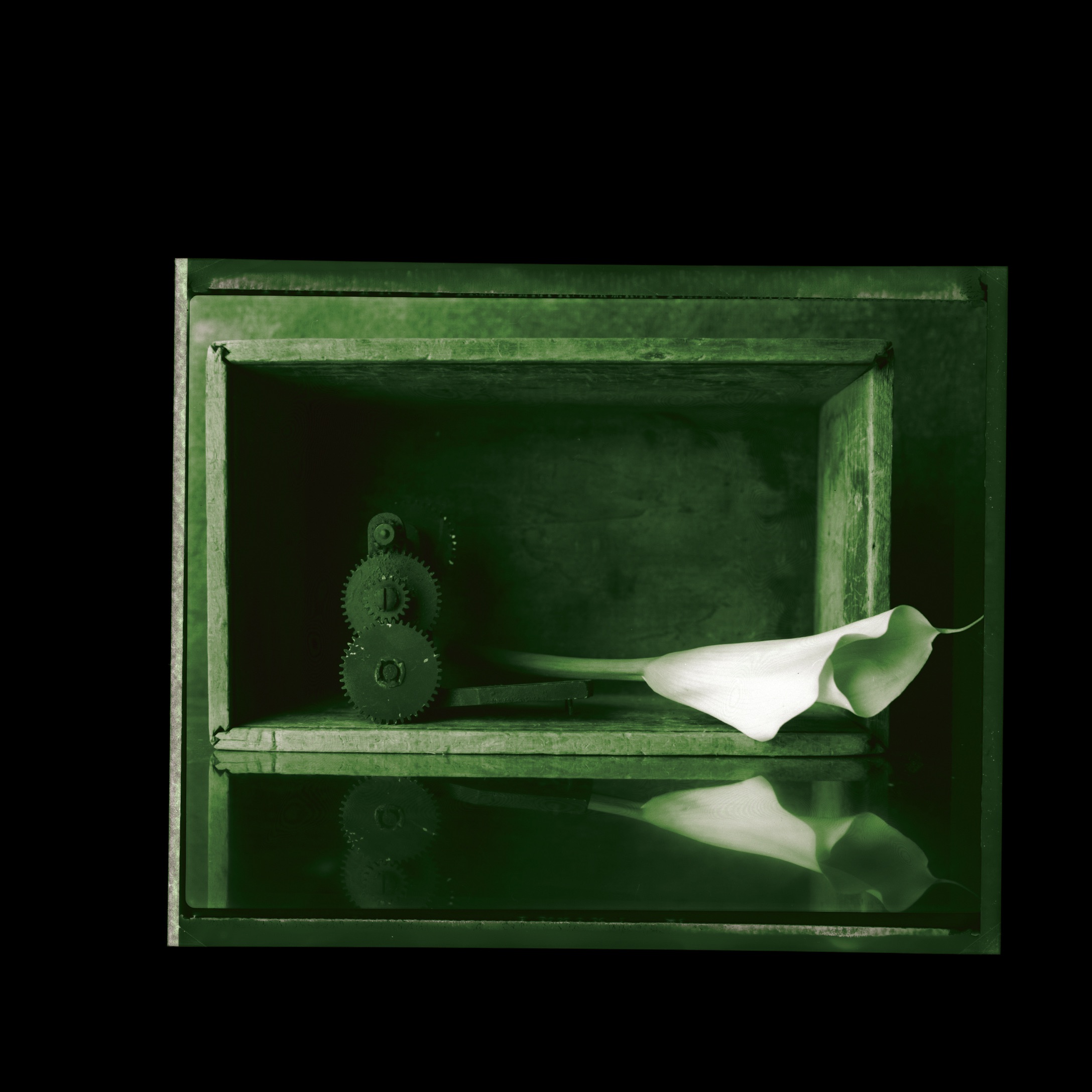 Elegies - EP album cover