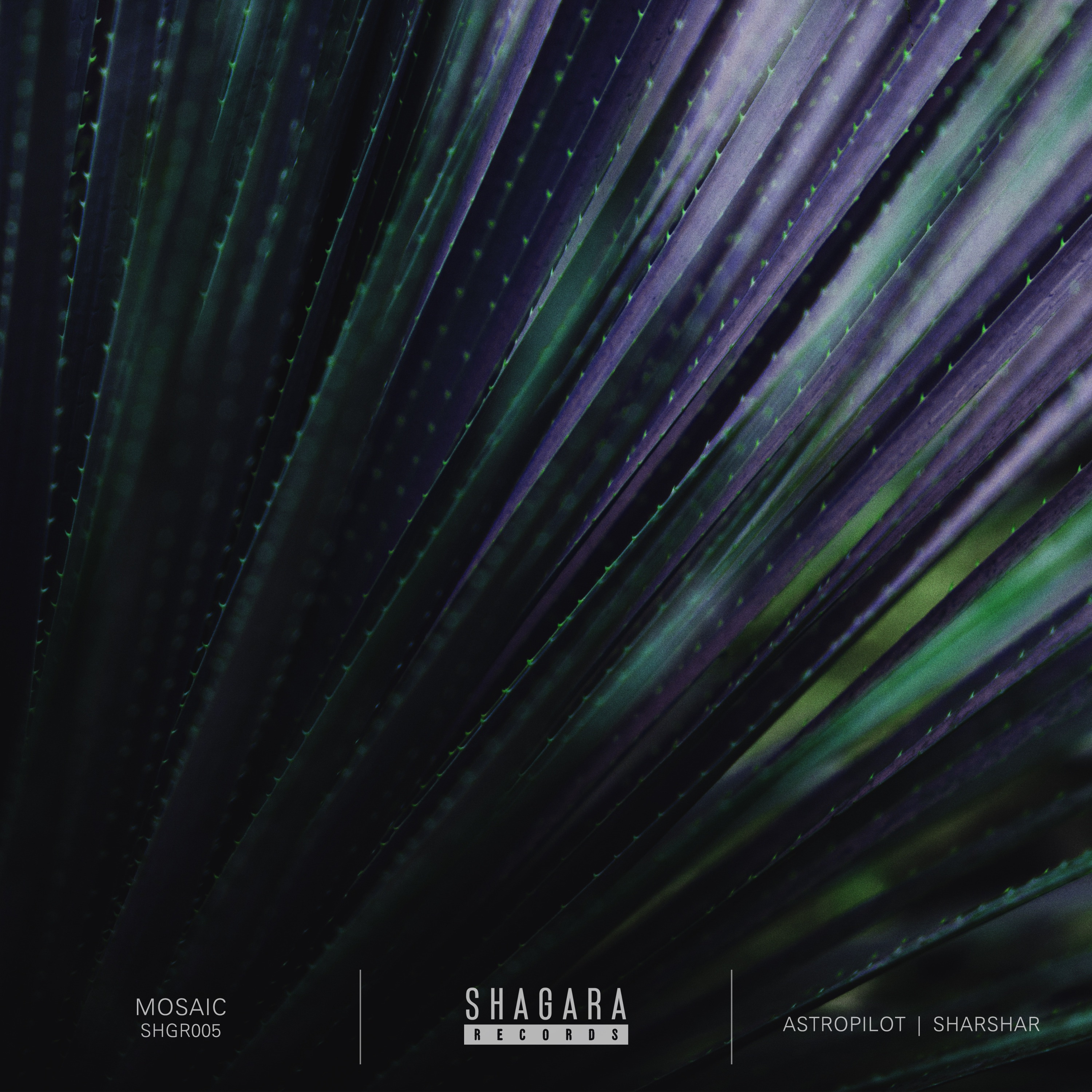 Mosaic album cover