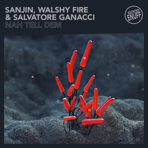 Nah Tell Dem - Single album cover