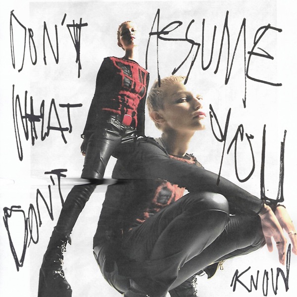 Don't Assume What You Don't Know - Single album cover
