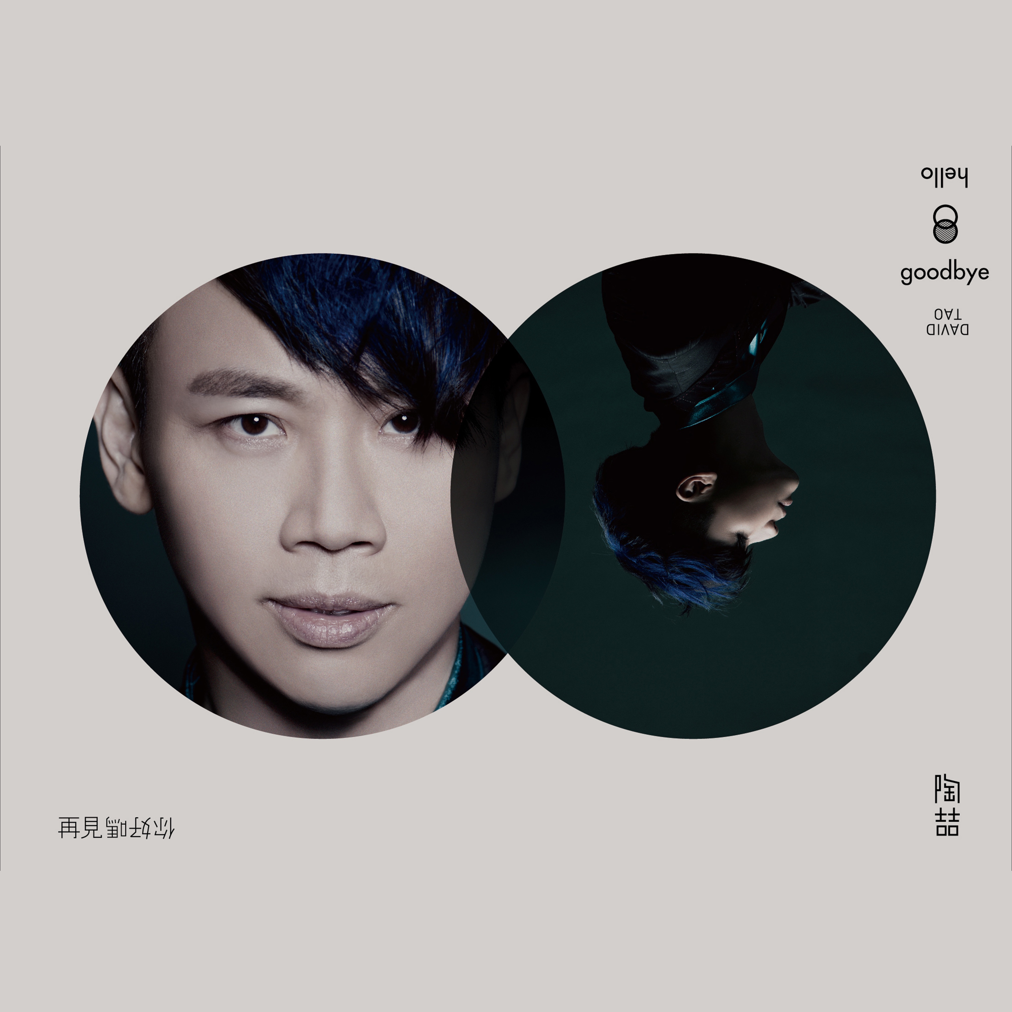 Hello Goodbye album cover