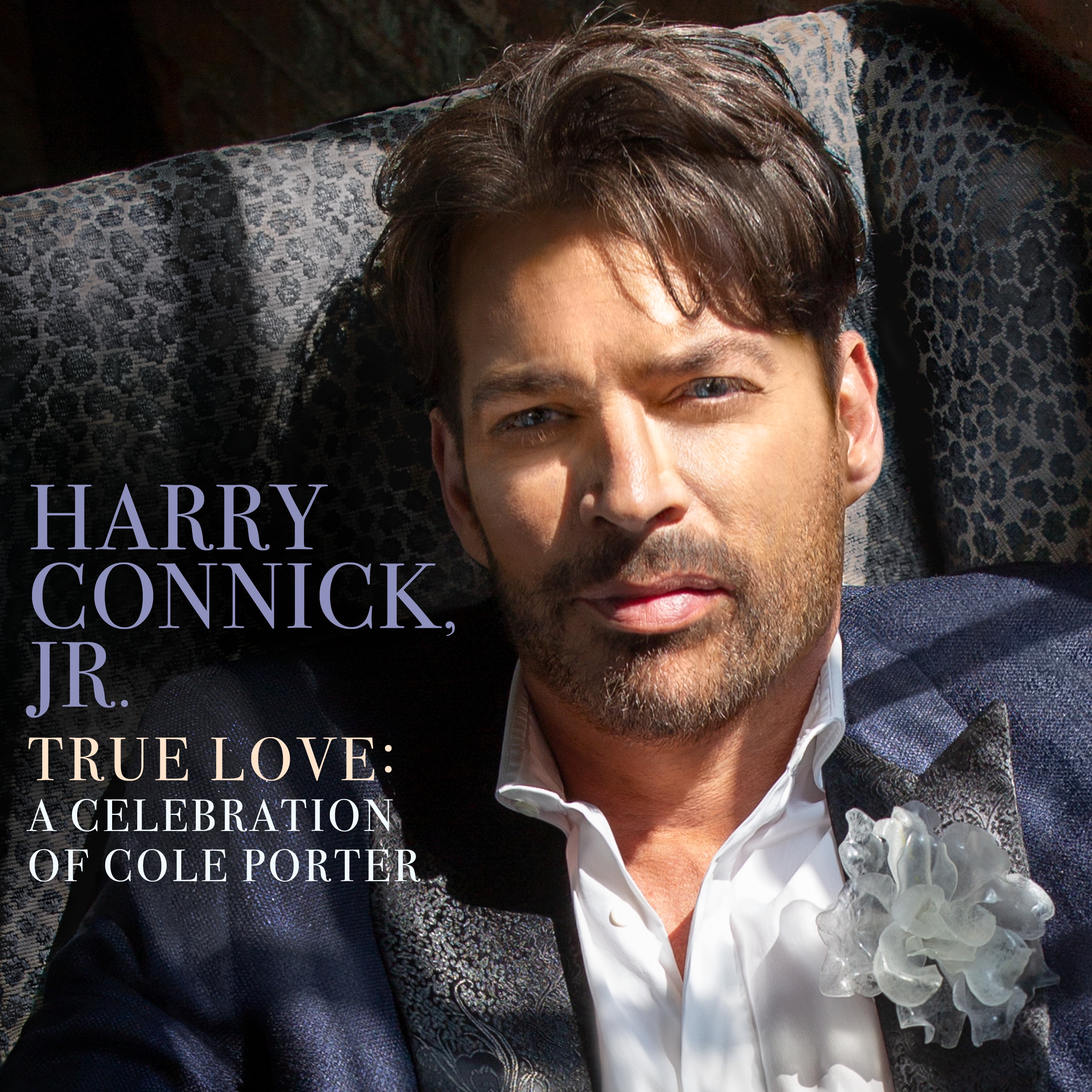 True Love: A Celebration of Cole Porter album cover