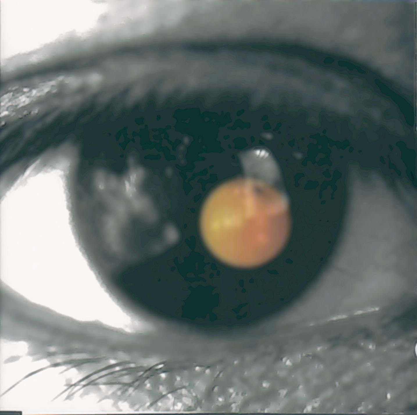 黑色柳丁 album cover