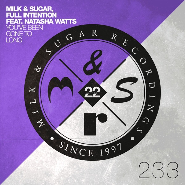You've Been Gone to Long (Extended Club Mix) [feat. Natasha Watts] - Single album cover