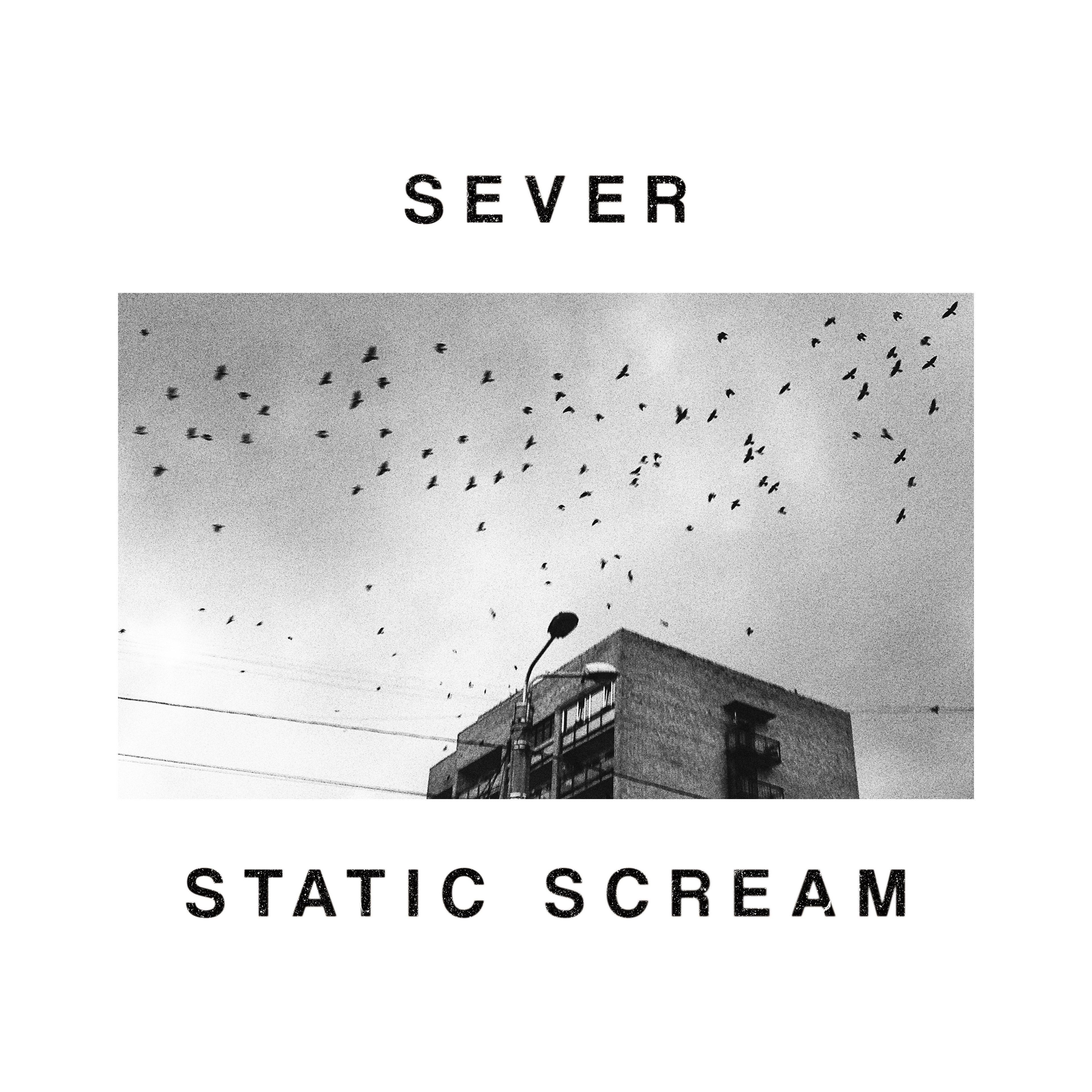 Static Scream - Single album cover