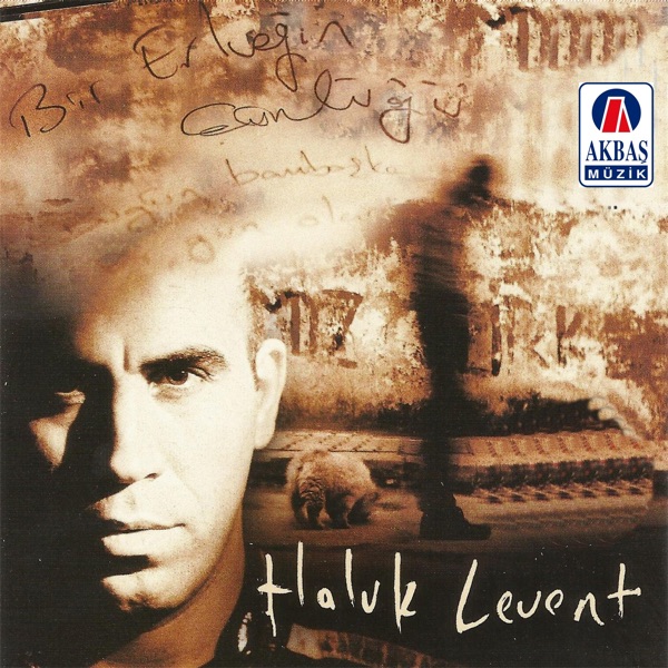 Bir Erkeğin Günlüğü album cover