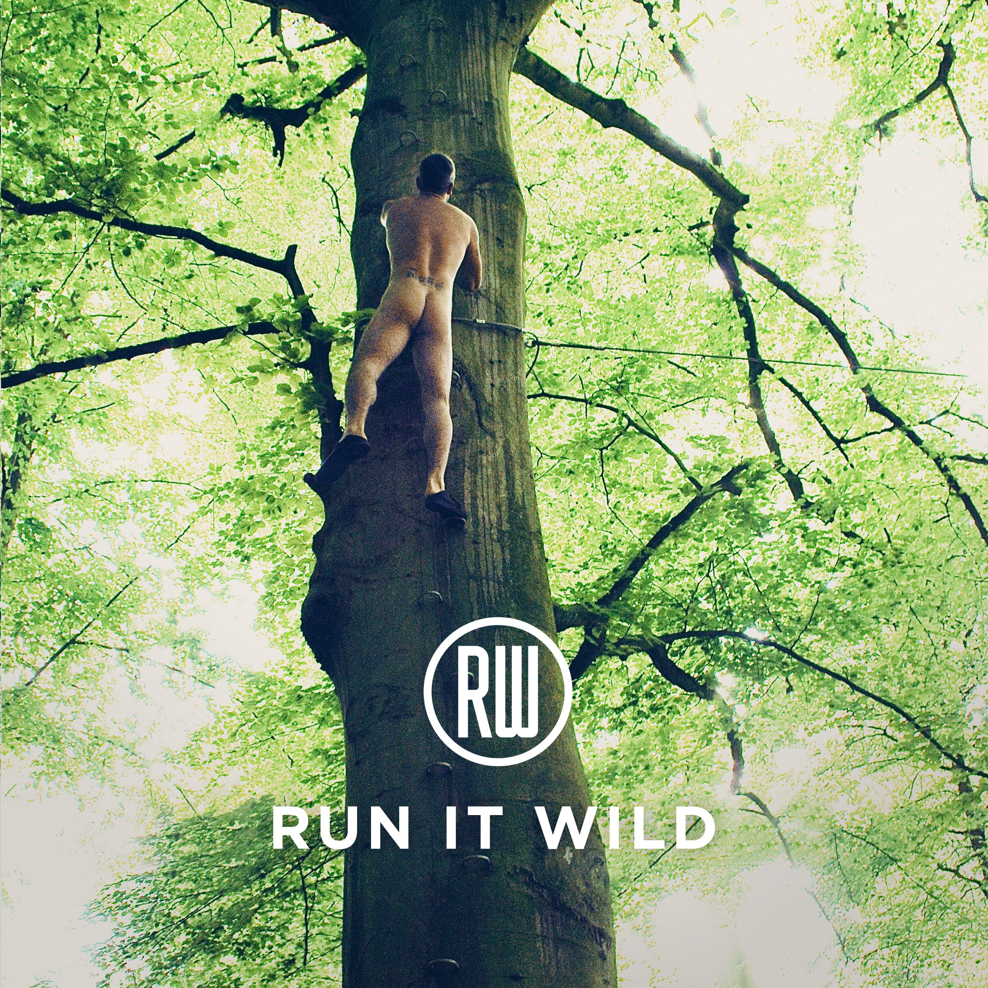 Run It Wild - Single album cover
