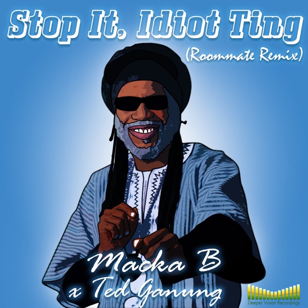 Stop It, Idiot Ting (Roommate Remix) - Single album cover